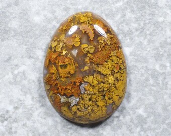 Yellow Golden Plume Agate Cabochon - Pretty Foliage Pendant Stone (33 x 25 x 7 mm)