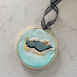 Nudibranch