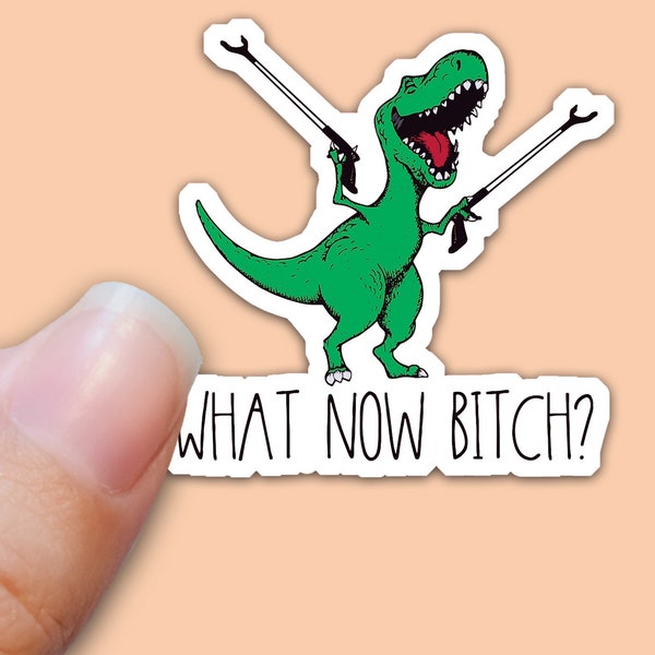 Funny Dinosaur What Now Bitch - Arm Extenders, Sarcastic Sticker, Snarky Vinyl Sticker Decal for Water Bottles, Laptop Tumbler Stickers Sn-2