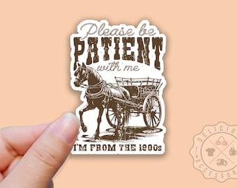 Please Be Patient With Me I'm From the 1900s, Funny Millennial Sticker, Gen X Sticker, Horse, Waterproof Sticker for Water Bottle, Laptop