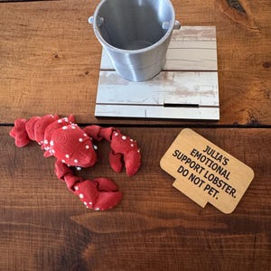 May include: A red plush lobster toy with white polka dots, a small silver bucket, and a wooden sign that reads "Julia's Emotional Support Lobster. Do Not Pet." The items are on a wooden surface.
