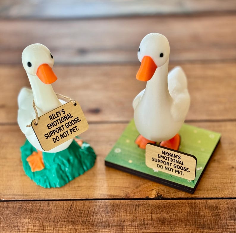 Emotional Support Desk Goose, Customized Sign, Stand for Interchangeable Signs, Gift for Goose Lover, Do Not Pet, Personalized, Desk Buddy image 8