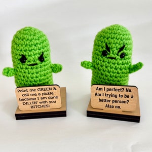 Punk Ass Pickle, Anti Emotional Support Pickle, Crochet Pickle, Funny Gift for Coworker, Customized Interchangeable Signs, Office Desk Decor