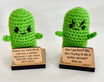 Punk Ass Pickle, Anti Emotional Support Pickle, Crochet Pickle, Funny Gift for Coworker, Customized Interchangeable Signs, Office Desk Decor