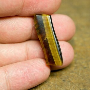 Tiger's Eye 15.1ct Bacon Cab image 5