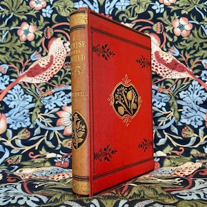 RARE Antique Book A Glimpse of The World by Elizabeth M Sewell New Edition 1886 Gilt Decorative Binding