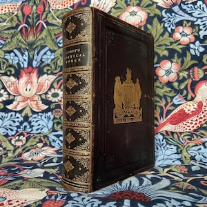 RARE Antique Book SCOTT&#39;s POETICAL Works 1872 Gilt Prize Binding Sir Walter Scott Illustrated Beautiful