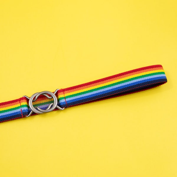 Small - 1" rainbow elastic belt with gunmetal clasp