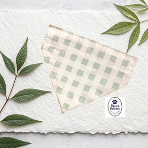 May include: A light green and white checkered dog bandana, set on a textured white surface with green leaves. The bandana is triangular and features a classic gingham pattern. The logo "Paws & Patterns" is visible.