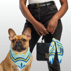 Matching Dog and Owner Bandana Set – Personalized Dog Bandana with Name – Custom Pet Gift – Dog Mom Dad Gift – Dog Lover Accessories