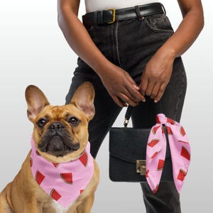Matching Dog and Owner Bandana Set – Personalized Dog Bandana with Name – Custom Pet Gift – Dog Mom Dad Gift – Dog Lover Accessories