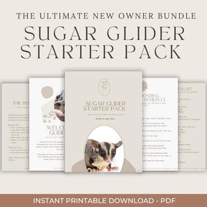 Sugar Glider Starter Pack | Digital Care Guide, Bonding Schedule, Diet Plan & More | New Owner Bundle PDF