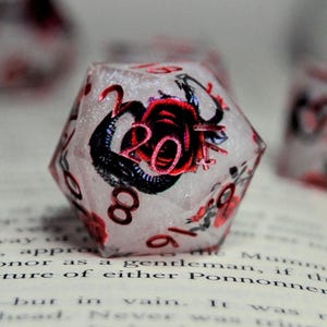 May include: Clear, multi-sided dice with red and black floral designs and numbers. The dice are resting on the open pages of a book. The number 20 is visible on one die.