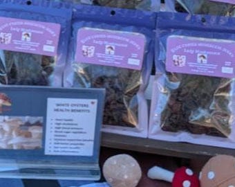 Gourmet Mushroom Jerky: Blue Oyster, Pink Oyster, Lion's Mane