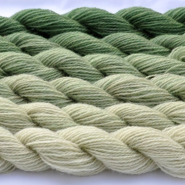Gradated Yarn Set in Bottle Green