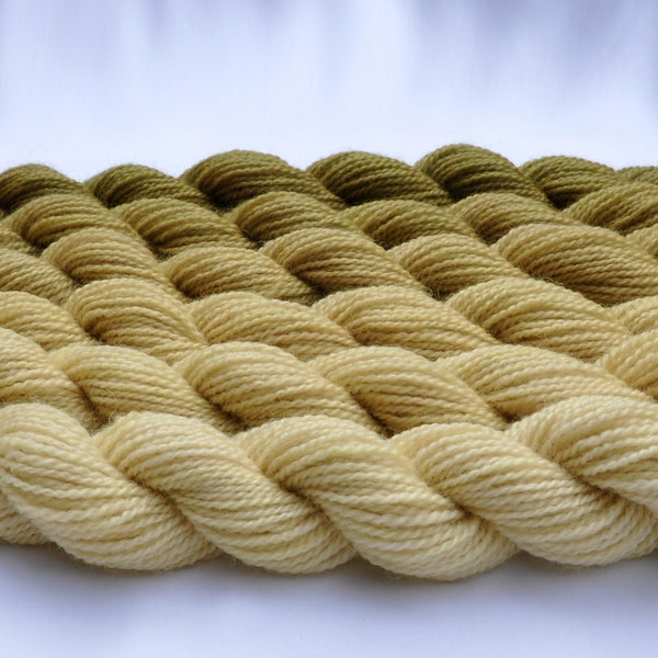 Wheat Gradated Yarn Set