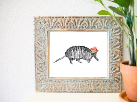 ARMADILLO STRING QUARTET animals 8x10 art artist prints print gift new
