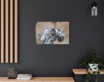 Bee Macro Photography Canvas Print – Pollinator Flower Art