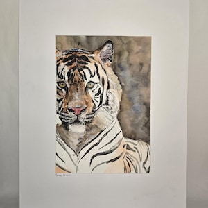 Tiger - Original