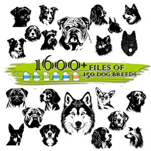 Dog Breeds Svg Bundle, Dog Head Svg, Dog Svg Bundle, Dog Mom Svg Bundle, Dog Outline Svg, Dog Clipart, Dog Silhouette File, Dog Cricut File