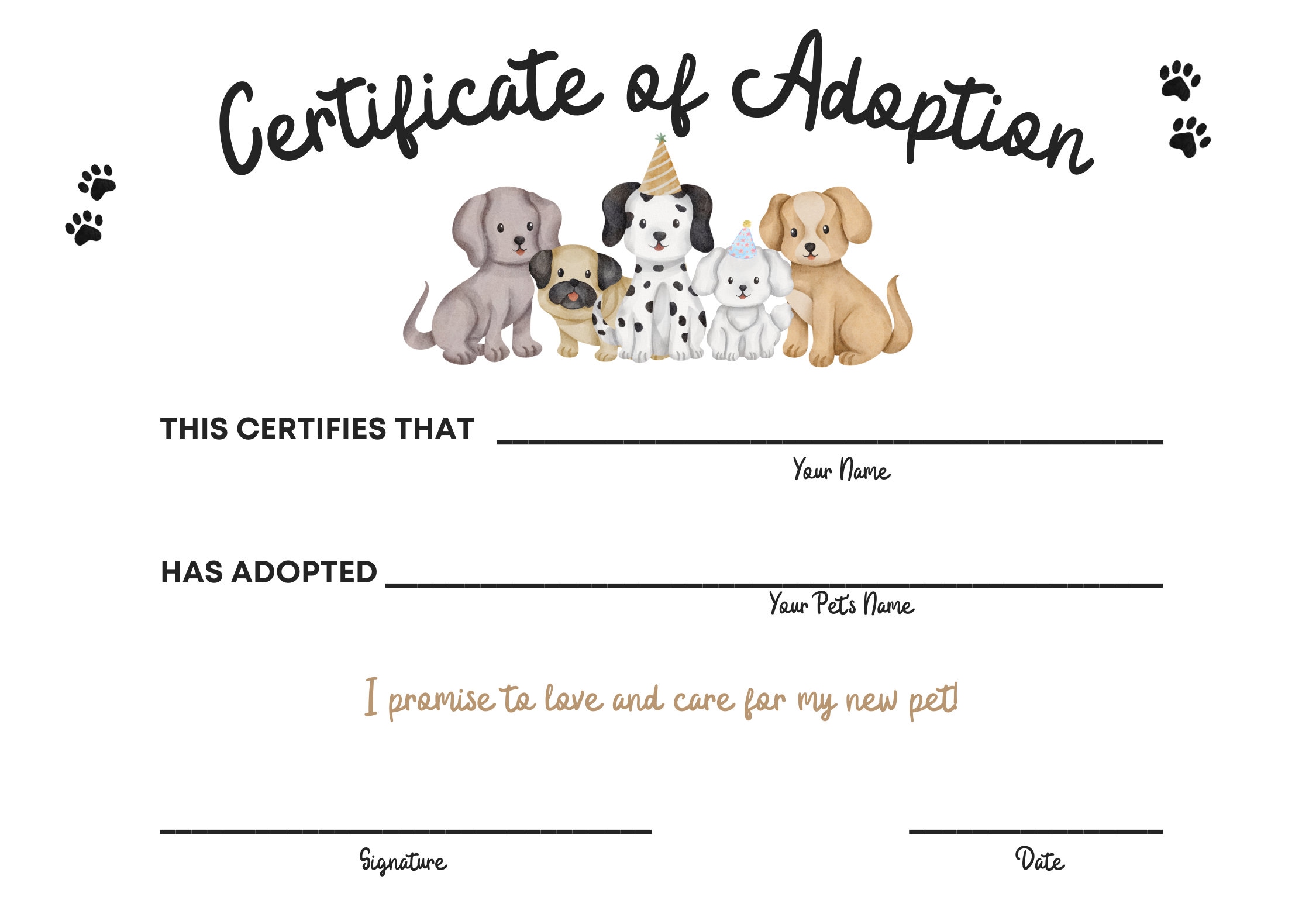 Dallas Craigslist: The Ultimate Puppy Adoption Guide - 08xwxzo