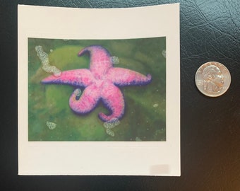 Starfish Sticker - Vinyl