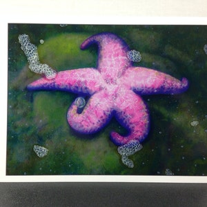 Greeting Card Pink Starfish and Her Bubble - Card of Original Oil Painting by Shelley Irish