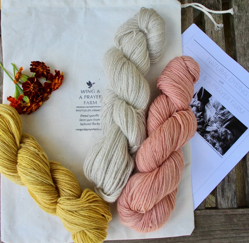 Natural Plant Dye Kit for Yarn Dyeing includes Vermont Sock Etsy