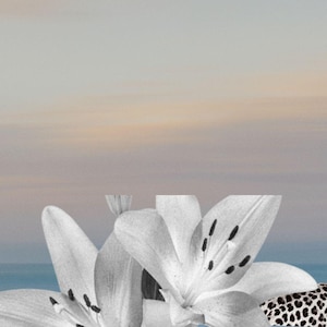 Puede incluir: Impresión de arte digital que presenta un leopardo con pelaje manchado en blanco y negro, lirios blancos con manchas negras y un fondo suave de cielo y océano en colores pastel. La obra de arte tiene un tema sereno y natural.