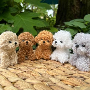 May include: Five miniature poodle figurines in varying colors: beige, two shades of brown, white, and gray. Each has a fluffy, curly texture and black eyes. They are arranged on a woven, brown surface.