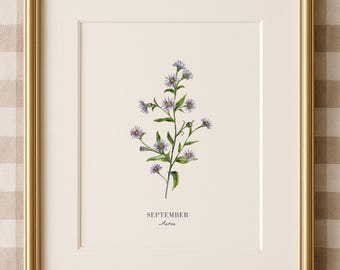 Könnte beinhalten: Ein gerahmter botanischer Druck mit einer detaillierten Illustration einer blühenden Pflanze mit kleinen lila Blüten und grünen Blättern. Der Druck trägt die Aufschrift "September" und ist in einem goldenen Rahmen gefasst.