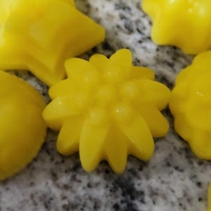 Bees Wax