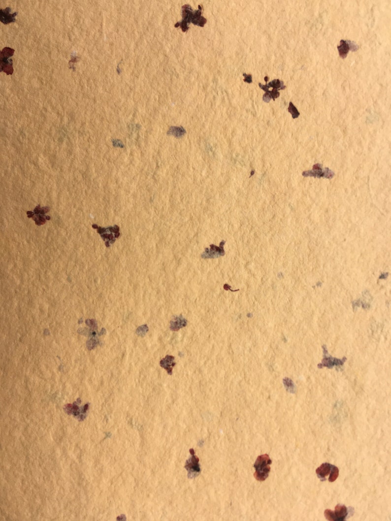 A5 handmade paper soft cover notebook Orange elderflower