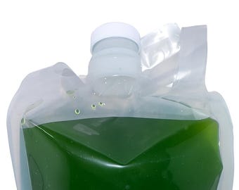 Half Gallon (64oz) Live Chlorella Culture Green Water – for Daphnia, Fry, Shrimp, Ponds, Aquaponics