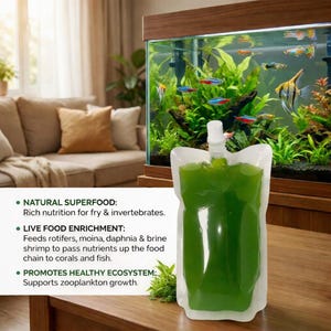 16oz Live Chlorella Culture Green Water – for Daphnia, Fry, Shrimp, Ponds, Aquaponics