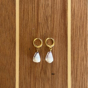 May include: A pair of gold-toned hoop earrings, each featuring a small, teardrop-shaped white and purple seashell charm suspended from the bottom. The shells have a smooth, polished finish and are attached to the hoops with thin gold wire loops.