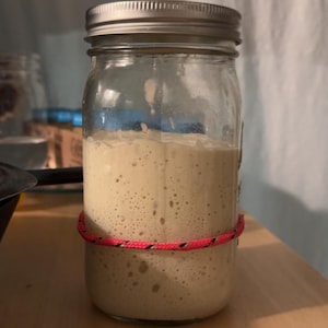 Dehydrated Sourdough Starter | Wild Yeast Bread Culture | Dried Starter with Rehydration Guide