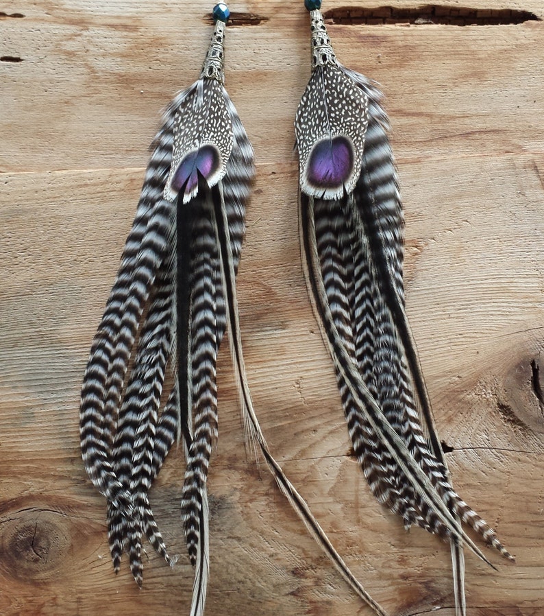 Grey's Peacock Pheasant Long Rooster Feather | Etsy