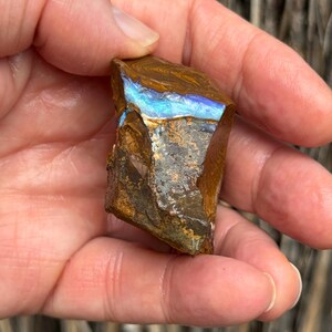 Puede incluir: Una gema de ópalo en bruto, con una matriz marrón y un destello azul y dorado vibrante. La piedra se sostiene en una mano, mostrando su estado natural y sin pulir. La superficie del ópalo exhibe un juego de colores, reflejando la luz.