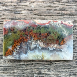 Peut inclure: Une pierre précieuse rectangulaire avec un motif de paysage. La pierre présente des couches de couleurs, notamment du rouge, du vert, de l'orange et du blanc, ressemblant à une scène naturelle. La pierre est polie et a une surface lisse.