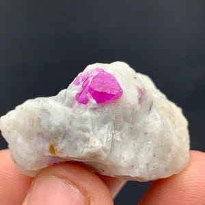 May include: A raw, uncut ruby crystal, showcasing a vibrant pink hue. The ruby is embedded in a matrix of white stone, creating a striking contrast. The natural formation is held in a hand, highlighting its size and texture.