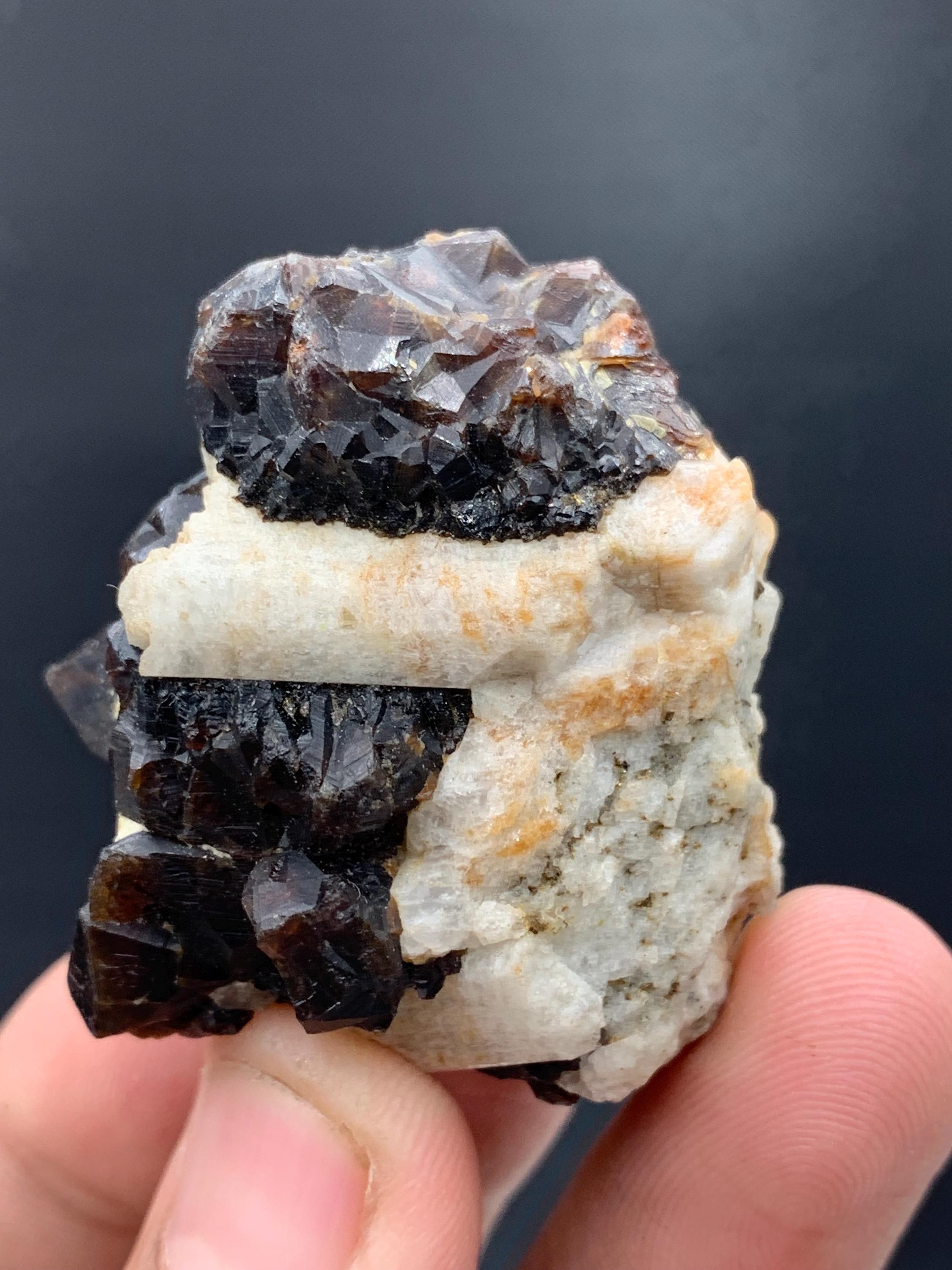 母岩上のアンドラダイトガーネット結晶 – パキスタン・スカルドゥ産