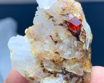 Natürlicher Roter Spessartin-Granat Kristall auf Quarz-Matrix: Beschädigungsfreies Exemplar (16 Gramm)