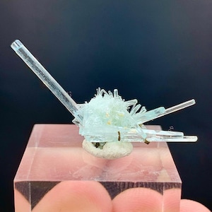 Puede incluir: Un grupo de cristales de aguamarina azul claro con cristales alargados y transparentes que irradian desde un punto central. El espécimen mineral está montado sobre una pequeña base blanquecina y se exhibe sobre un soporte rectangular transparente.