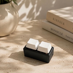 May include: A black keyboard with two white keycaps. The keyboard is rectangular and sits on a light-colored surface. In the background, there is a vase with greenery and two books.