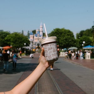 May include: A person holds a white and brown paper cup with a straw. The cup has a design of various Disney characters and attractions. The cup is in front of a blurred background of a theme park with a castle in the distance.