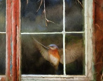 Arte de vida silvestre, pintura de aves urbanas, conciencia ecológica, bienestar animal, arte evocativo