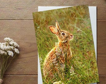 Tarjetas de conejo, paquete de 10, 12,7 x 18,8 cm, con sobres, papelería natural