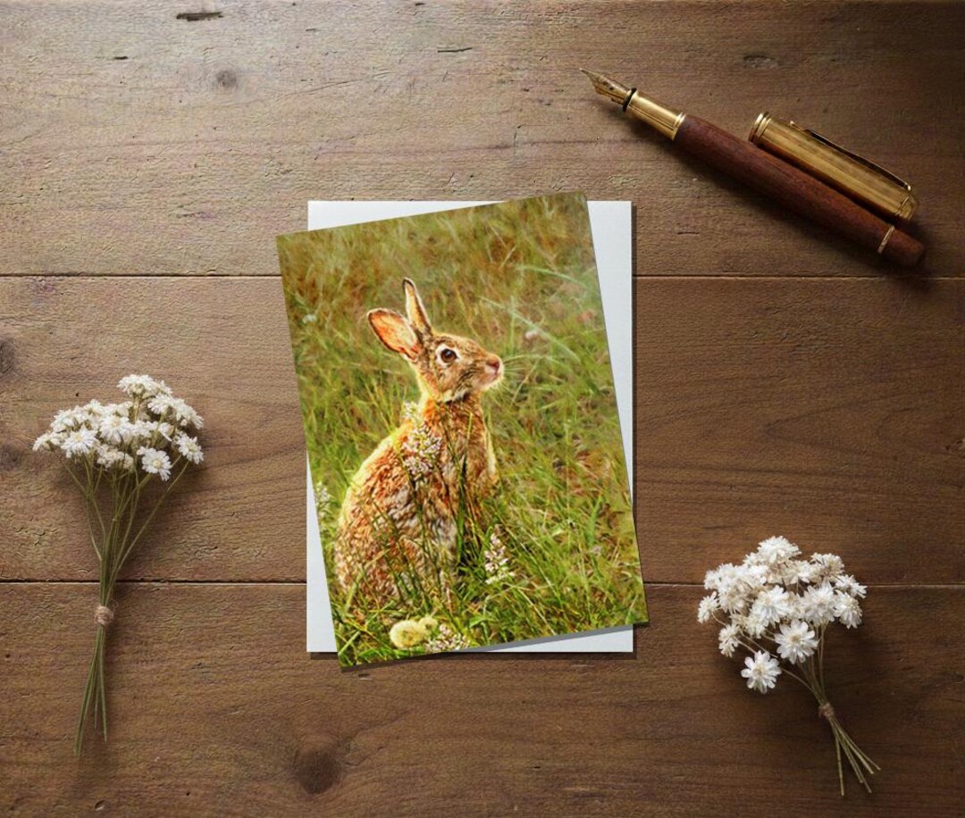 Rabbit Note Cards, 10 Pack Cards, 5x7" With Envelopes, Nature ...