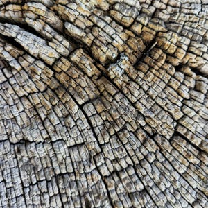 Puede incluir: Primer plano de la veta de madera envejecida. La superficie es un mosaico de formas rectangulares e irregulares en tonos marrones, grises y beige. Las grietas y fisuras profundas crean una apariencia texturizada y envejecida, resaltando los patrones naturales de la madera.